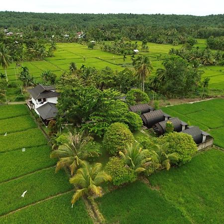 Gino'S Place - Guest House & Jungle Trekking Bukit Lawang Exterior foto