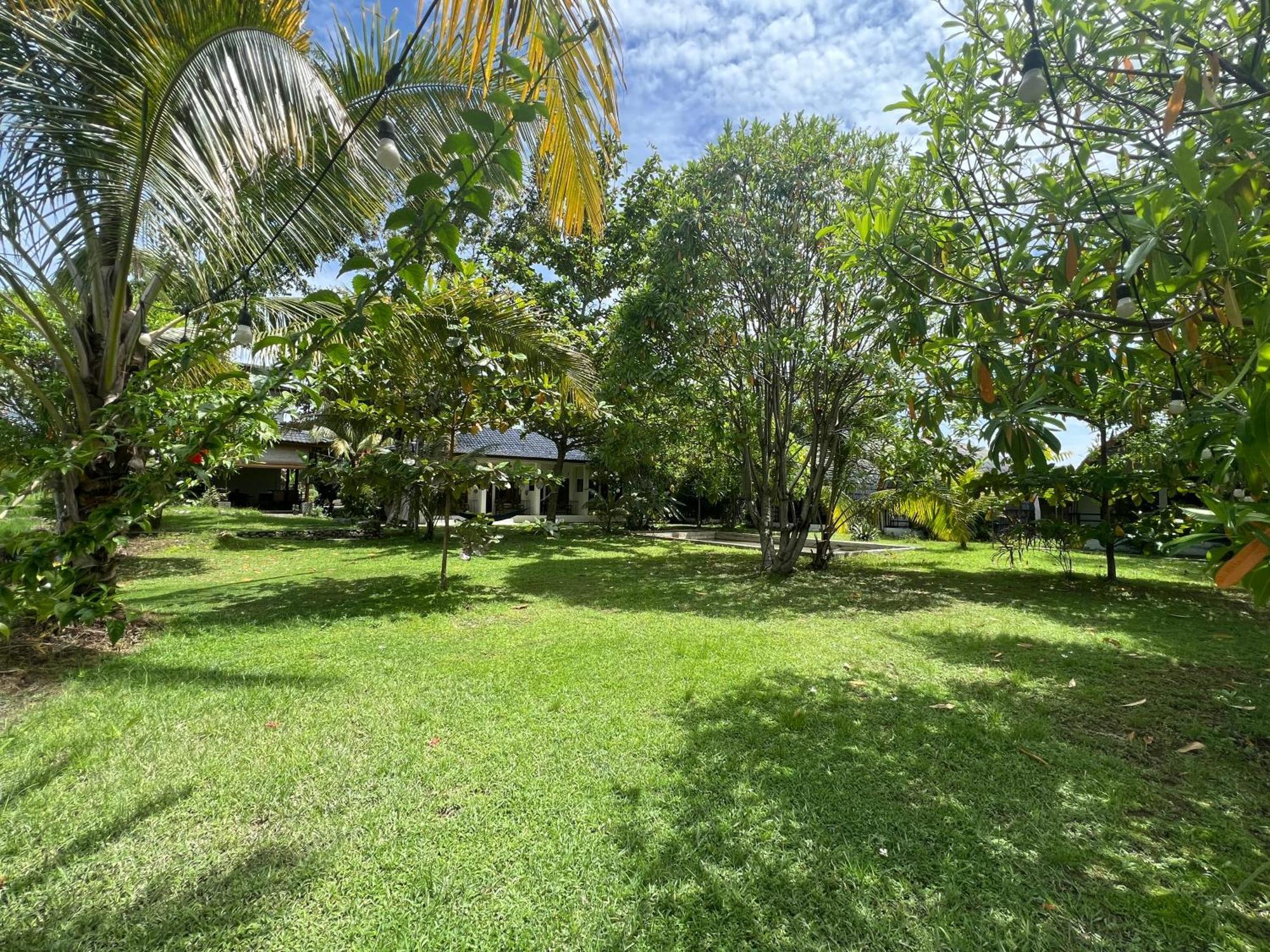 Gino'S Place - Guest House & Jungle Trekking Bukit Lawang Exterior foto