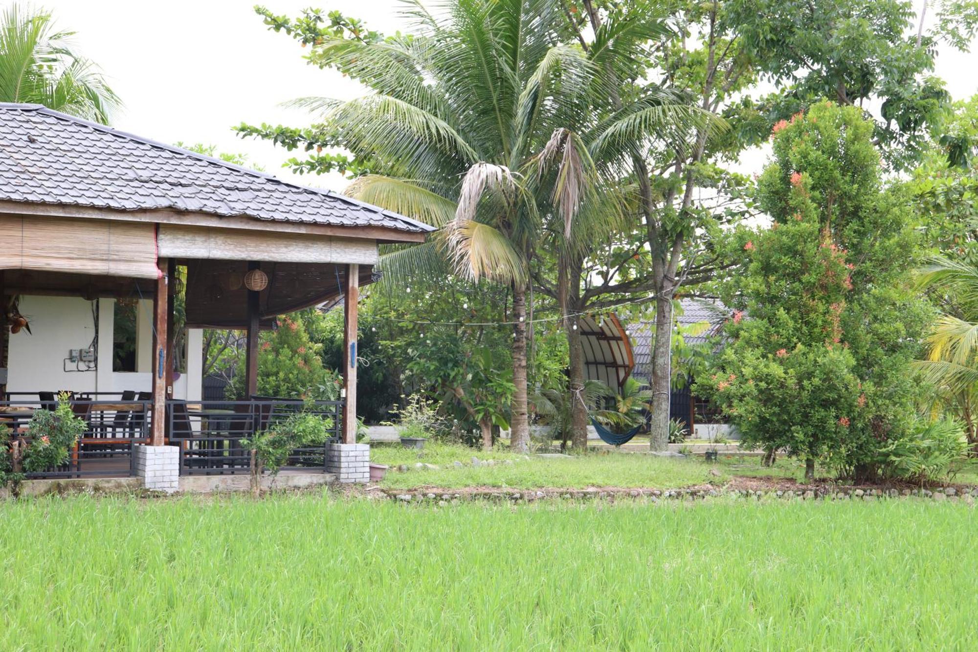 Gino'S Place - Guest House & Jungle Trekking Bukit Lawang Exterior foto