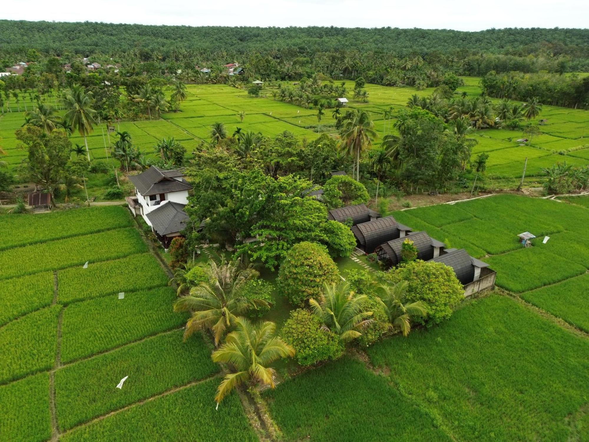 Gino'S Place - Guest House & Jungle Trekking Bukit Lawang Exterior foto