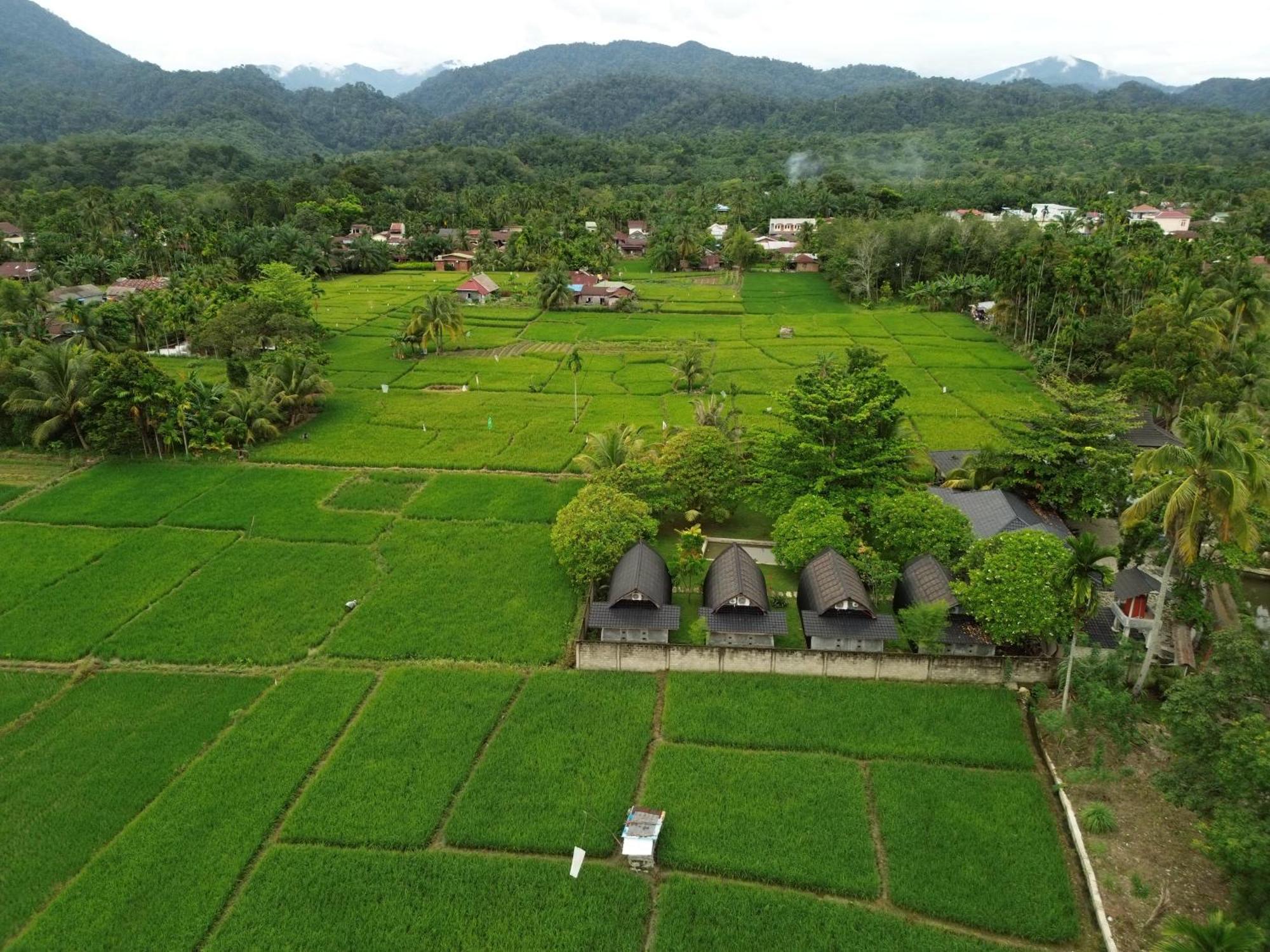 Gino'S Place - Guest House & Jungle Trekking Bukit Lawang Exterior foto